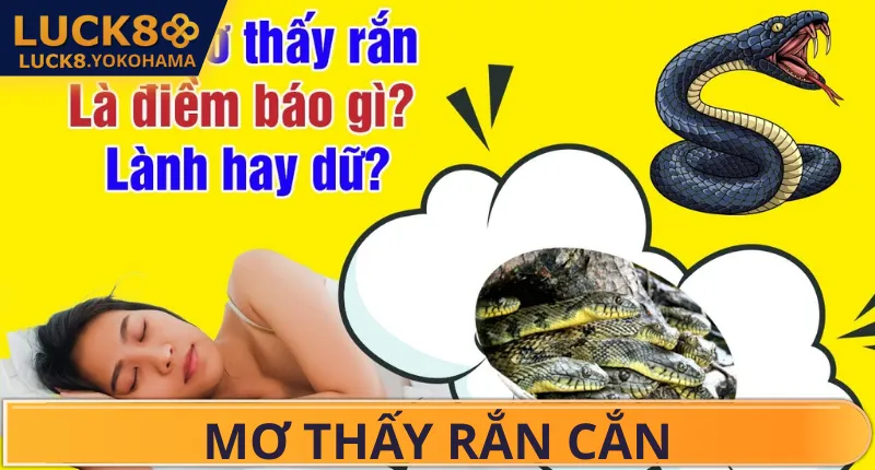 Mơ Thấy Rắn Cắn Đánh Số Gì? Giải Mã Điềm Báo 2026